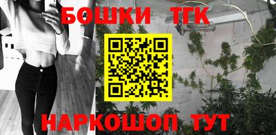 гашик Будённовск