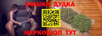 гашик Будённовск