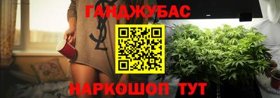 гашик Будённовск