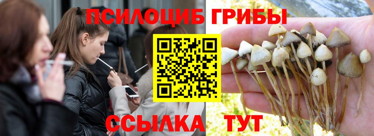 Галлюциногенные грибы прущие грибы Среднеуральск