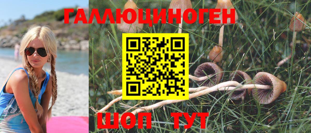 Среднеуральск  Псилоцибиновые грибы Psilocybine cubensis  Вход с VPN  Галлюциногенные грибы мухоморы 